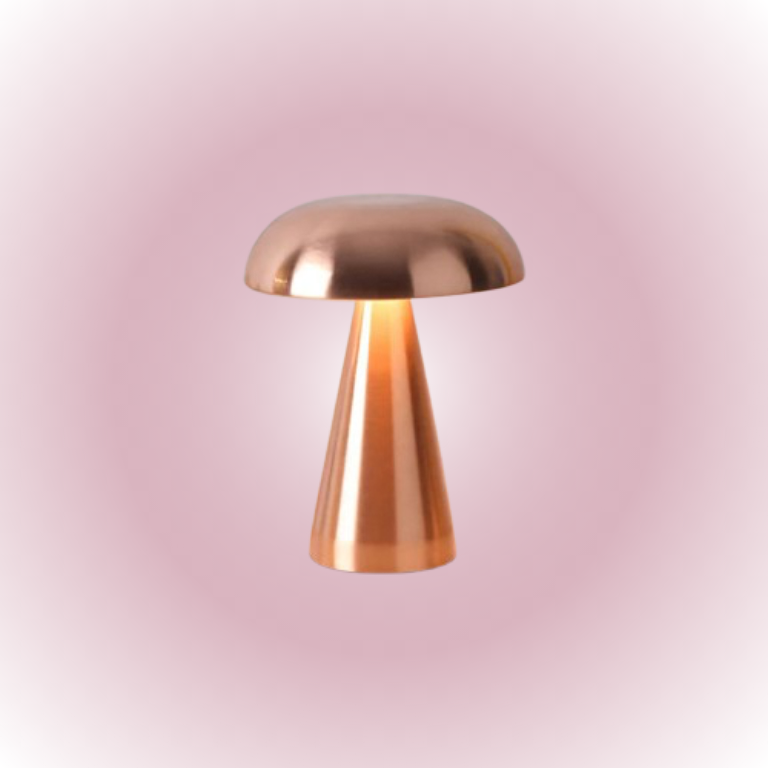 MINI CHAMPIGNON